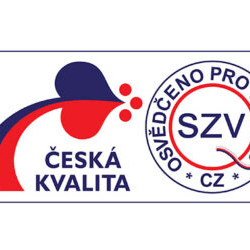 DITON získal zaslúžené ocenenie