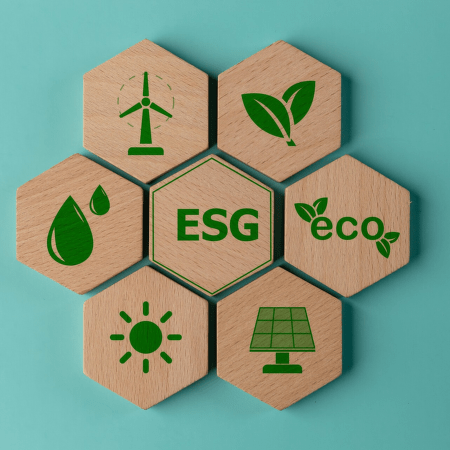 Ako DITON prijíma ESG: Budúcnosť udržateľného podnikania
