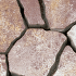 Bronzero