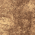 Terra