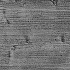 Arktic