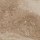 Scalota